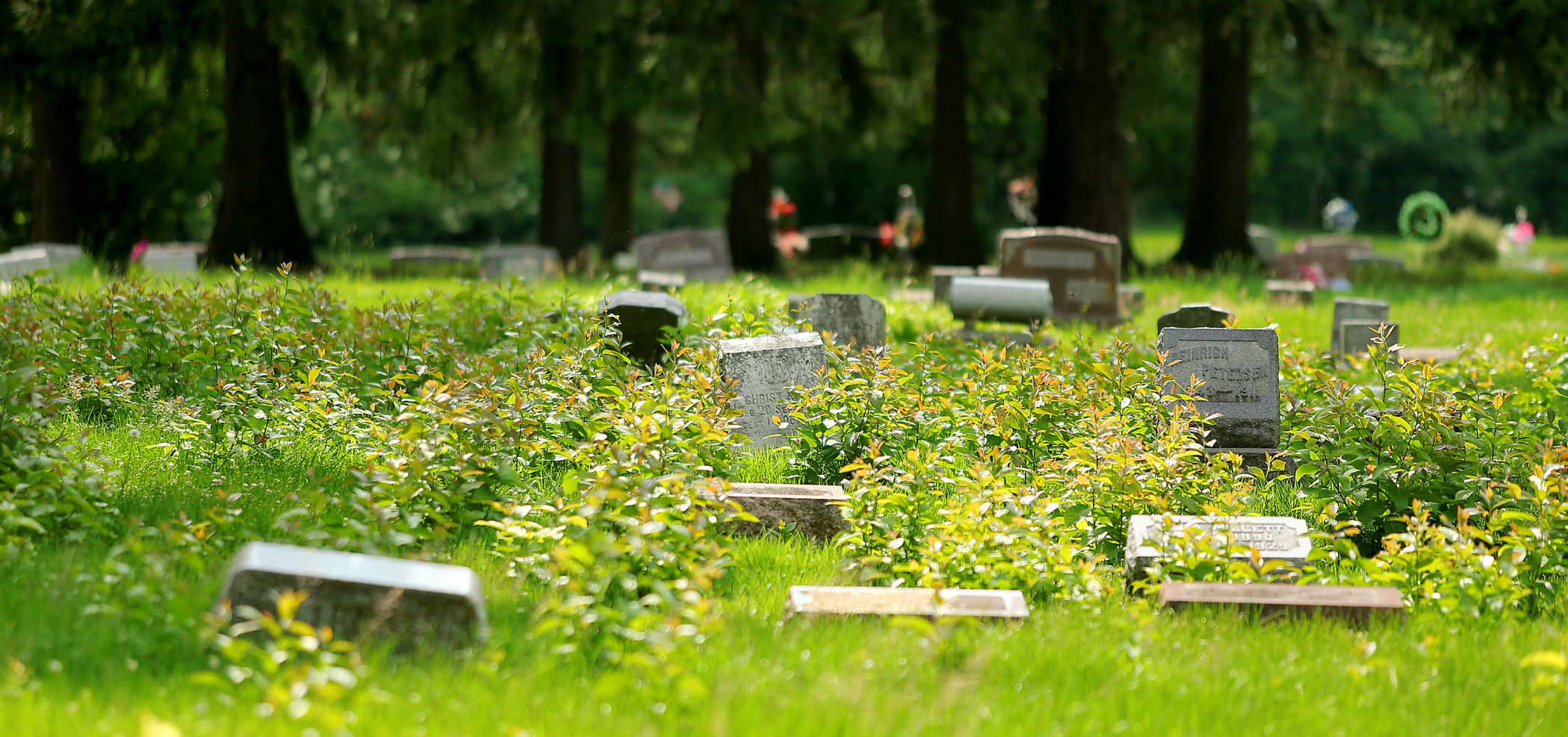Fairmount Cemetery 21